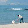 “流感神药”为何夏季多地缺货